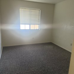 The Rug Bug
