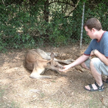 Lone Pine Koala Sanctuary - Zoos Near Me - Fig Tree Pocket, QLD Lone Pine Koala Sanctuary - Zoos Near Me - Fig Tree Pocket, QLD