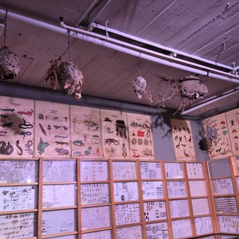 City Museum - Museums Near Me - Saint Louis, Missouri