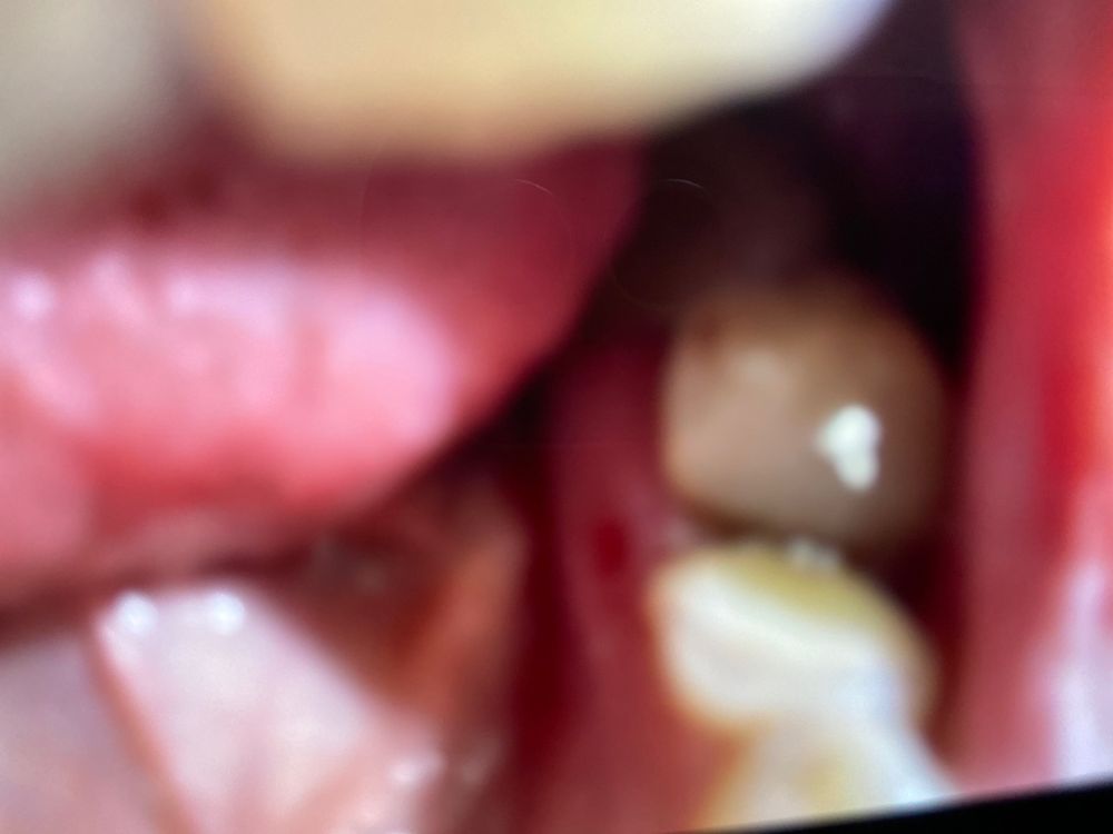 ESTHETIC AND IMPLANT DENTISTRY OF SOUTH FLORIDA, PA Updated September