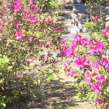 Bonaventure Cemetery - Funeral Services & Cemeteries Near Me - Savannah, Georgia