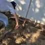 Photo of Sal Landscaping