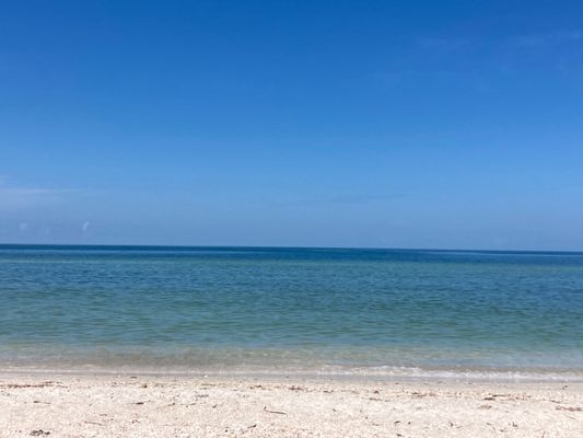 Delnor-Wiggins Pass State Park by null