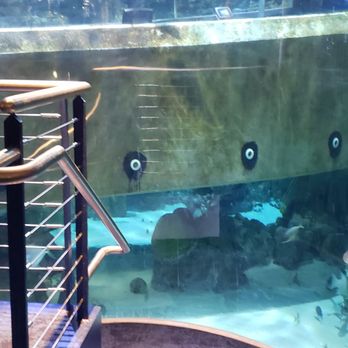 Discovery World - Children's Museums Near Me - Milwaukee, Wisconsin