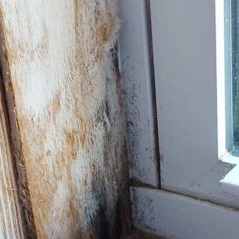 Joe Lamb, Jr. & Associates - Joe Lamb property #426 (aka Jay Jones) Is that Mold growing on master bedroom windowsill? Fuzzy mold on windowsill? I smelled mold - Vacation Rental Agents Near Me - Kitty Hawk, North Carolina Joe Lamb, Jr. & Associates - Joe Lamb property #426 (aka Jay Jones) Is that Mold growing on master bedroom windowsill? Fuzzy mold on windowsill? I smelled mold - Vacation Rental Agents Near Me - Kitty Hawk, North Carolina