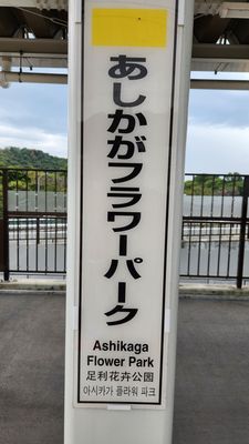 Ashikaga Flower Park by null