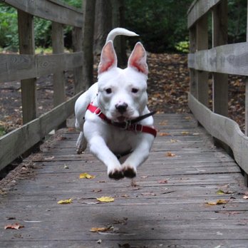 Wayward Ranch Animal Sanctuary - Animal Shelters Near Me Wayward Ranch Animal Sanctuary - Animal Shelters Near Me