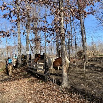 Fall Creek Falls Riding Stables - Beautiful horses - Horseback Riding Near Me - Spencer, Tennessee Fall Creek Falls Riding Stables - Beautiful horses - Horseback Riding Near Me - Spencer, Tennessee
