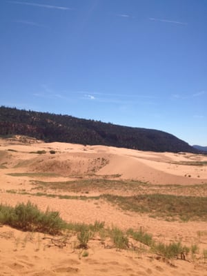 Coral Pink Sand Dunes State Park by null