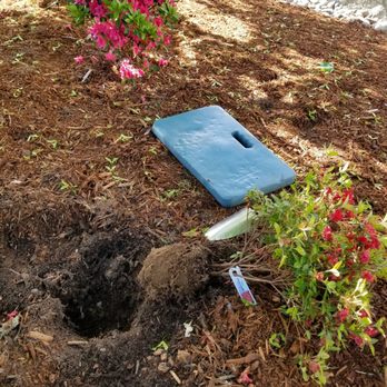 Lopez Landscaping Services - a hole in the ground - Landscaping Near Me Lopez Landscaping Services - a hole in the ground - Landscaping Near Me
