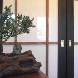Zen Thai Massage