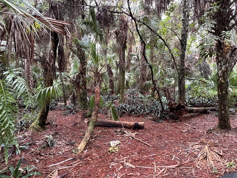 Sherwood Forest Park Image