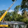 Photo of Walnut Tree Service