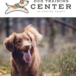 Dog Training Club of Chester County - Dog Training Center of Chester County
