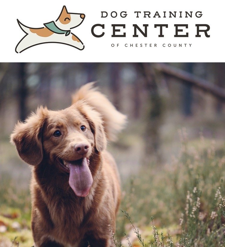 Dog Training Club of Chester County Image
