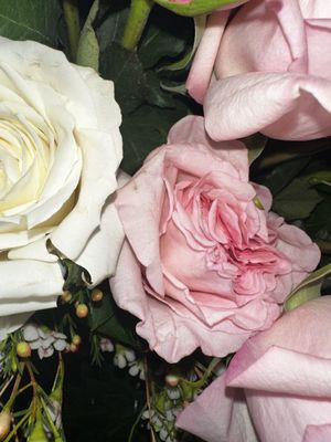 Sada's Flowers💐 by null