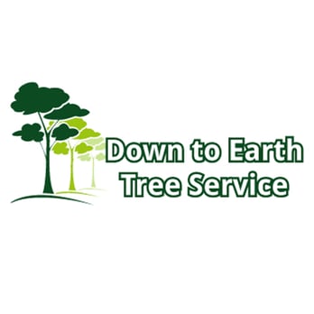 Down To Earth Tree Service - Tree Services Near Me - Crown Point, Indiana