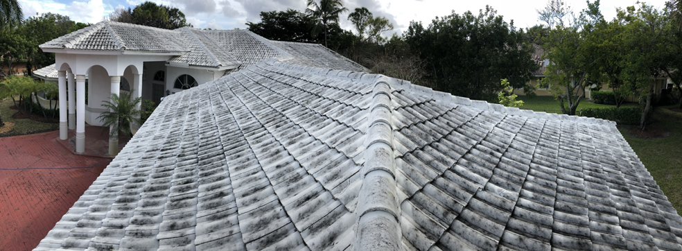 Slide of Nation Wash