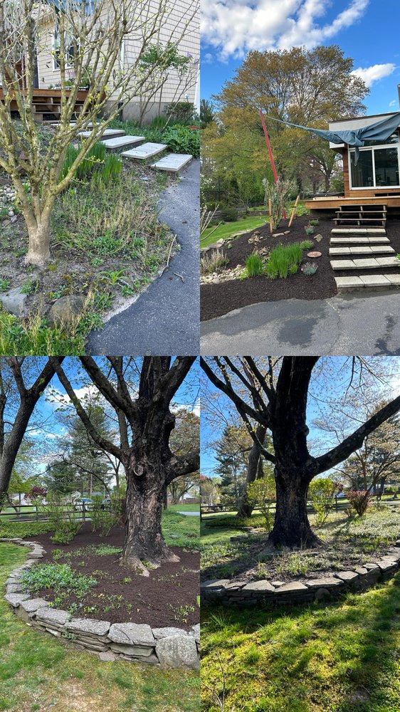 SUN OF THE PACIFIC LANDSCAPING Updated July 2024 13 Photos Ewing