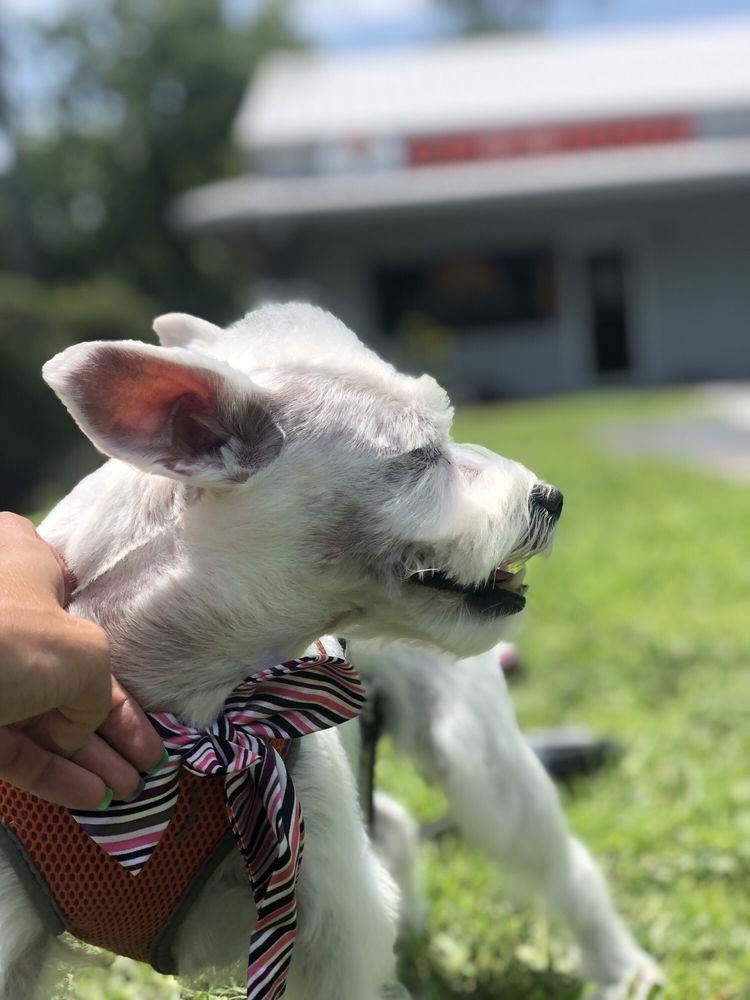 CANINE COUNTRY 10 Photos & 13 Reviews 35328 State Road 54