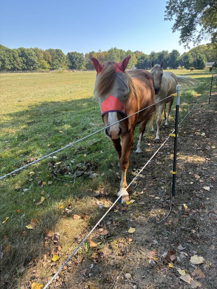 Layline Farm - equestrian in Gun Plain Township, MI