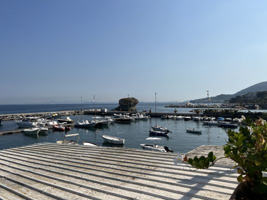 La Sirenella S. R. L. by null