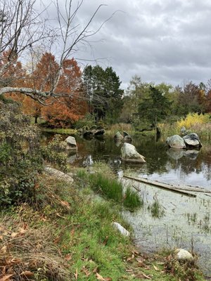 Charleson Park by null