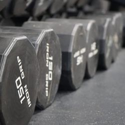 Stallion Fitness