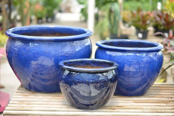 MRT ACE Lawn & Garden Center, 5175 Englewood Rd, Venice, FL 34293