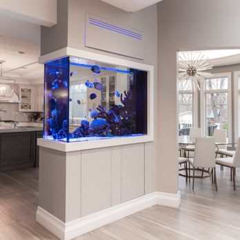 Aqua Creations - Beautifully crafted saltwater kitchen glass peninsula aquarium designed and installed by Aqua Creations, also serving as a room divider. - Aquarium Services Near Me - Lakewood Township, New Jersey Aqua Creations - Beautifully crafted saltwater kitchen glass peninsula aquarium designed and installed by Aqua Creations, also serving as a room divider. - Aquarium Services Near Me - Lakewood Township, New Jersey