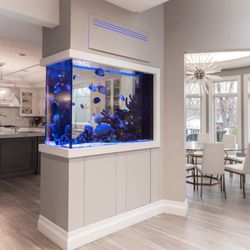 Aqua Creations   - Beautifully crafted saltwater kitchen glass peninsula aquarium designed and installed by Aqua Creations, also serving as a room divider.