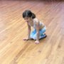 Photo of Destined to Dance Academy