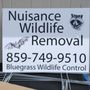 Photo of Bluegrass Wildlife control