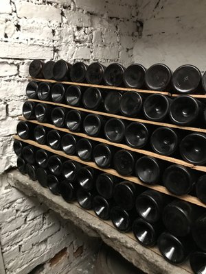 The Georgian House (National Trust for Scotland) by null