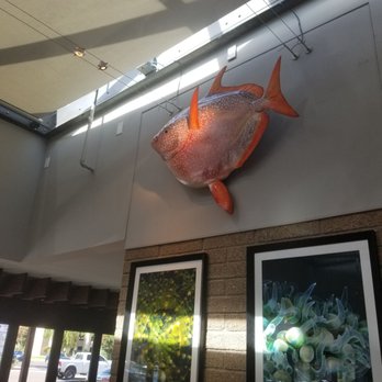 Bluewater Grill - Seafood Near Me - Phoenix, Arizona Bluewater Grill - Seafood Near Me - Phoenix, Arizona