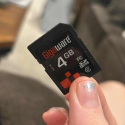 Camera Zone and Art Gallery - 4GB SD card inside the camera