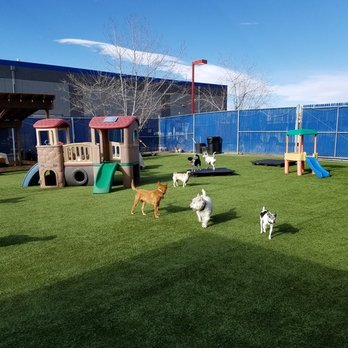 Bowhaus - Boulder - Pet Sitting Near Me - Boulder, Colorado Bowhaus - Boulder - Pet Sitting Near Me - Boulder, Colorado