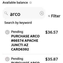 Arco - The 2 charges for gas today for my one and only car a Hyundai.