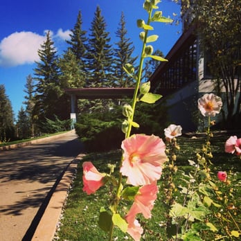 Rebecca's At the Lodge - Resorts Near Me - Cloudcroft, New Mexico