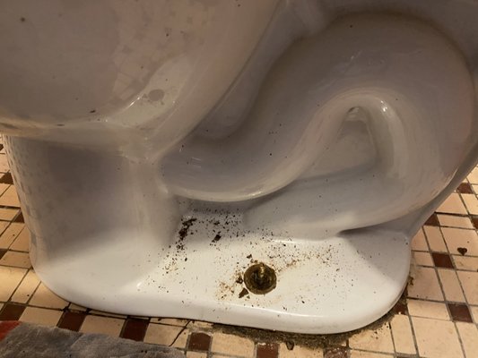 Rex & Son Inc Plumbing & Heating Logo