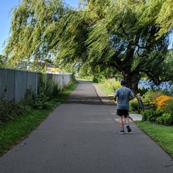 Cayuga Waterfront Trail