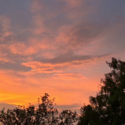 Caliche's Frozen Custard - Sunset scene from the bench areas.