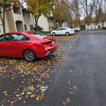Signature Landscapes - a red car parked on a residential street - Landscaping Near Me Signature Landscapes - a red car parked on a residential street - Landscaping Near Me
