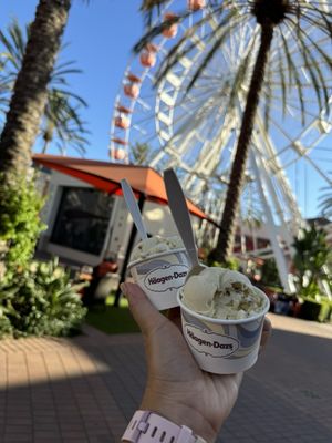 Häagen-Dazs by null