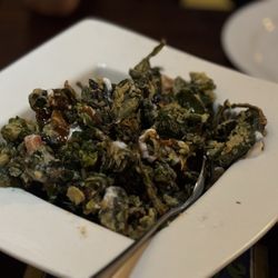 user provided Coriander photo