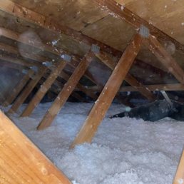New Insulation were installed after the Rodents Proofing Treatment. New Insulation were installed after the Rodents Proofing Treatment.