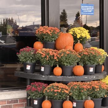 Kroger - Pumpkins and chrysanthemums in black pots are arranged on a tiered display outside a store entrance, with a glass door and parking lot visible in the background. - Grocery Near Me - Greenfield, Indiana
