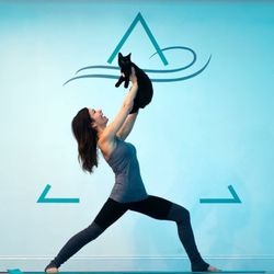 Pavana Yoga