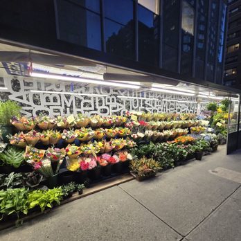 Dumbo Market - Grocery Near Me - New York, New York