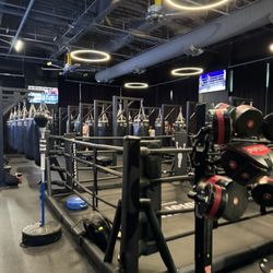 Undisputed Boxing Gym